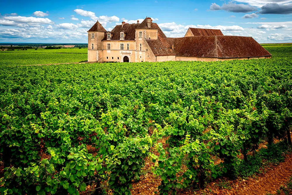 The Château de Vougeot is famous for its exceptional wines. Here, a view of the château from the vines.