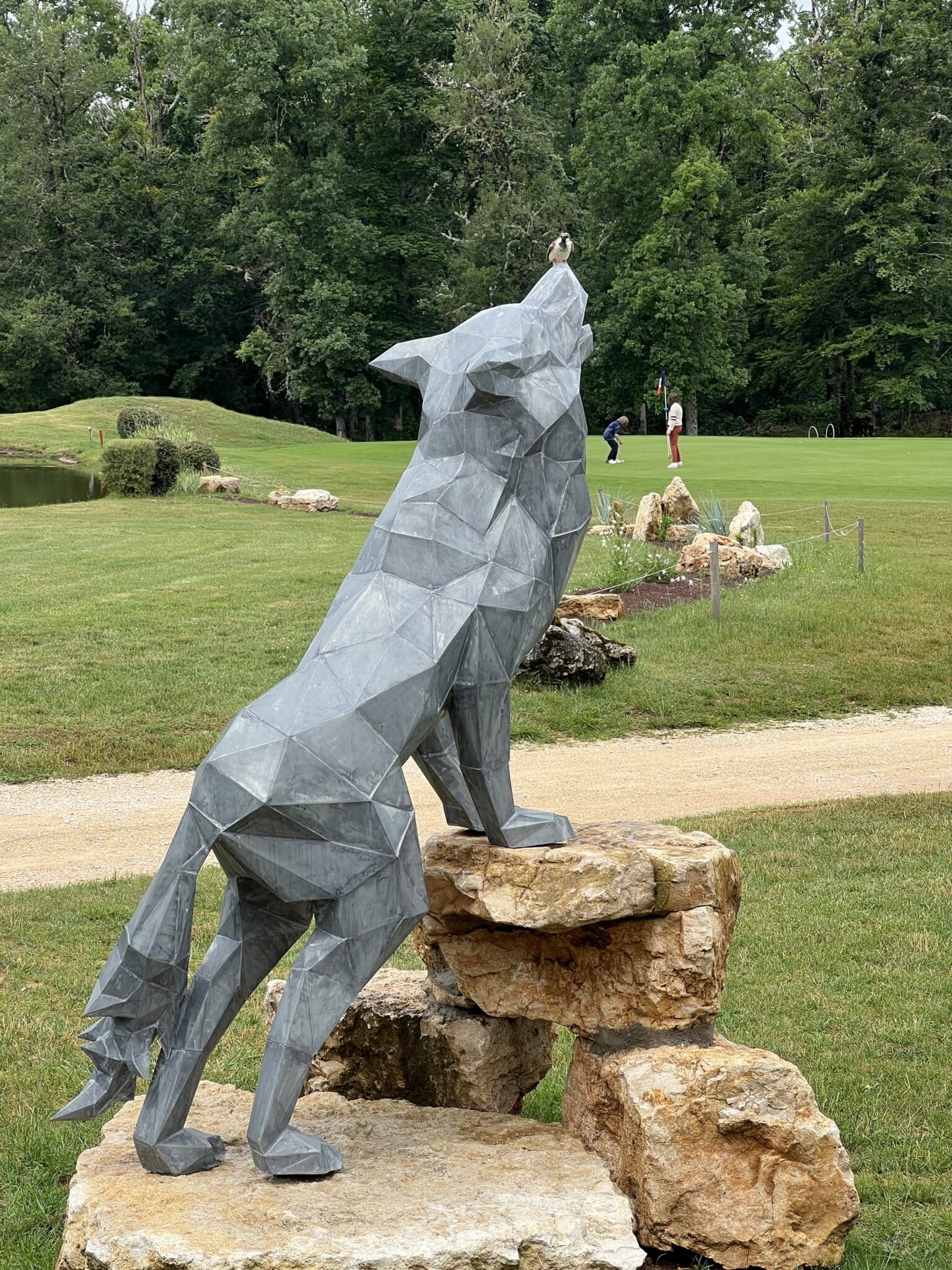 Le loup du golf de la chassagne a malain